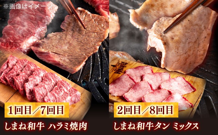 しまね和牛 牛肉 肉 焼肉 焼き肉 和牛 黒毛和牛 国産牛 タン塩 ハラミ 牛しゃぶ すき焼き しゃぶしゃぶ 定期便