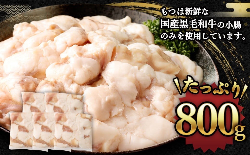 国産 もつ鍋 8人前 冷凍ちゃんぽん・濃縮スープ付き