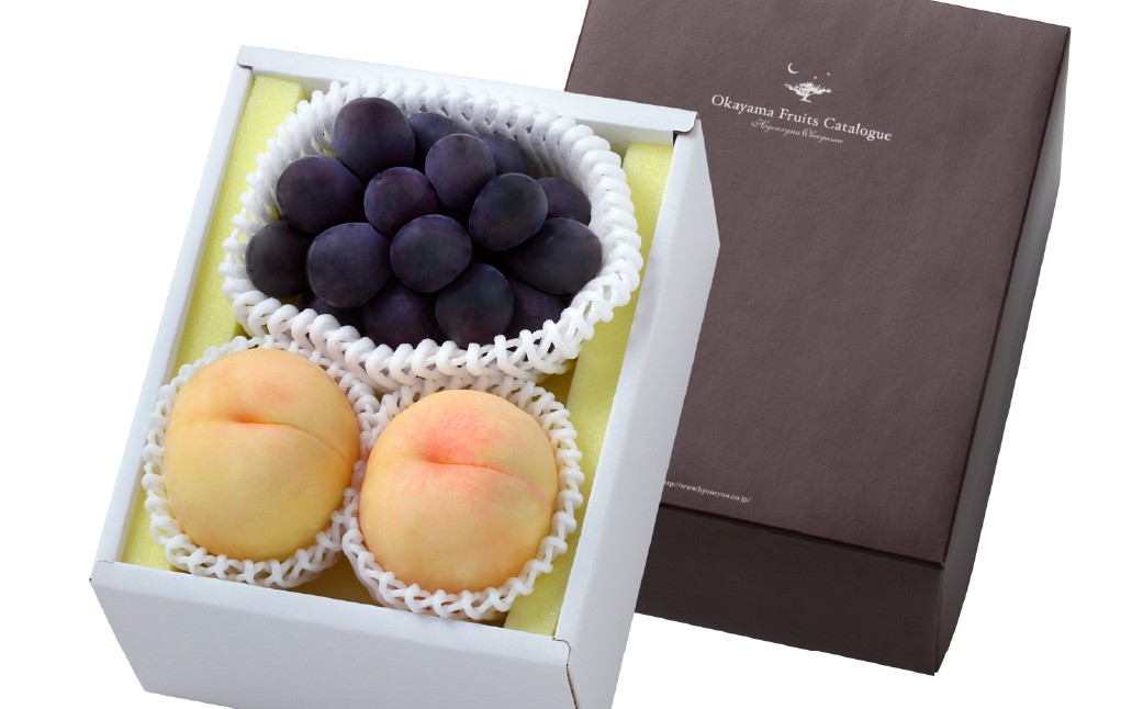 果物詰合せ 合計約1.0kg（白桃（晩生種） 2玉・ニュー ピオーネ 1房）