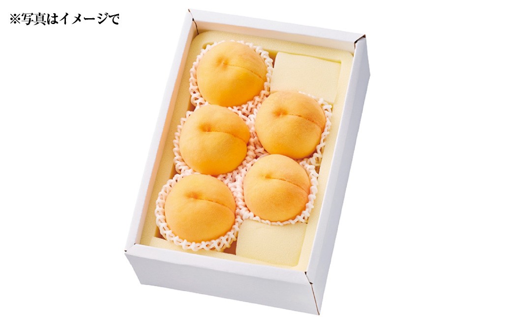 白桃 晩生種 5～6玉（約1.3kg）