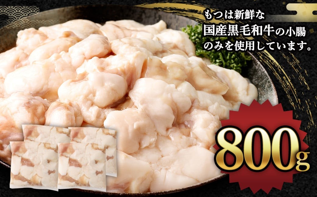 国産牛 もつ鍋 8人前 ちゃんぽん 濃縮スープ付 （みそ味）