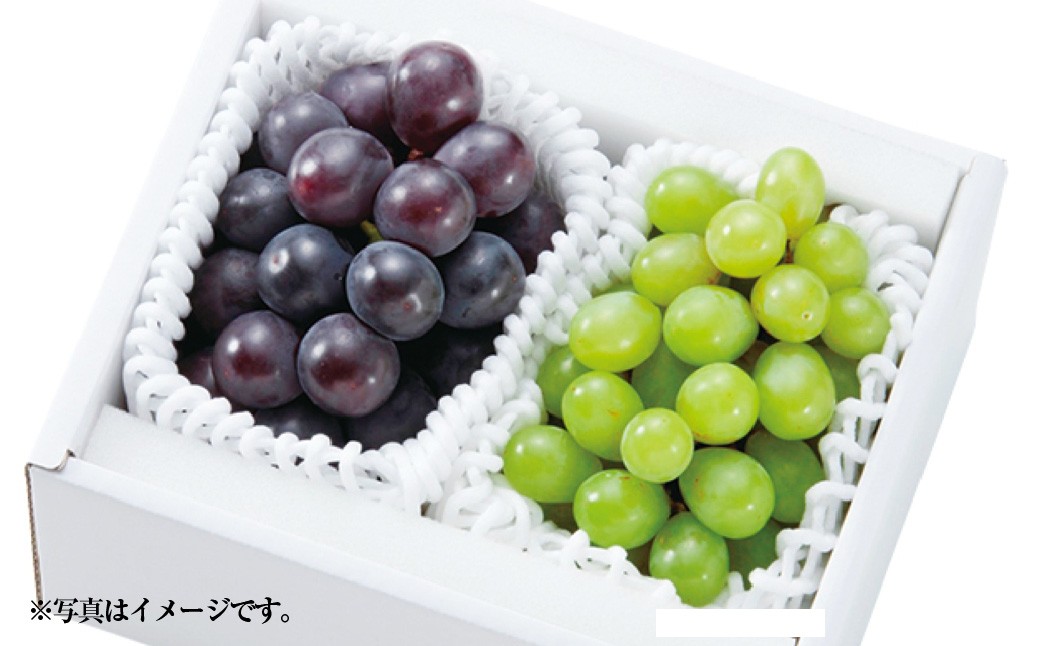 果物詰合せ 合計約1.0kg（シャインマスカット 1房・ニュー ピオーネ 1房）
