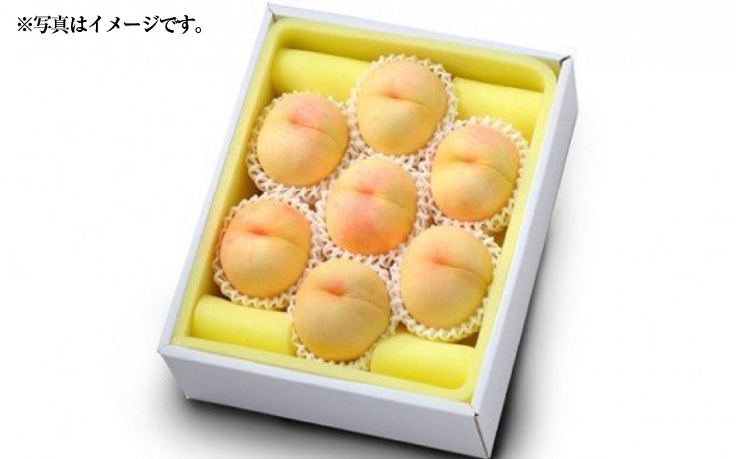 白桃 晩生種（大玉） 6～7玉（約2.2kg）