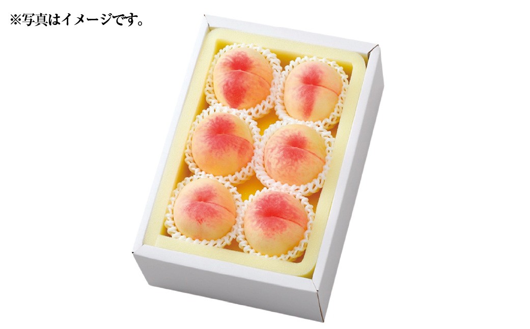 白桃 早生種 5～6玉（約1.3kg）