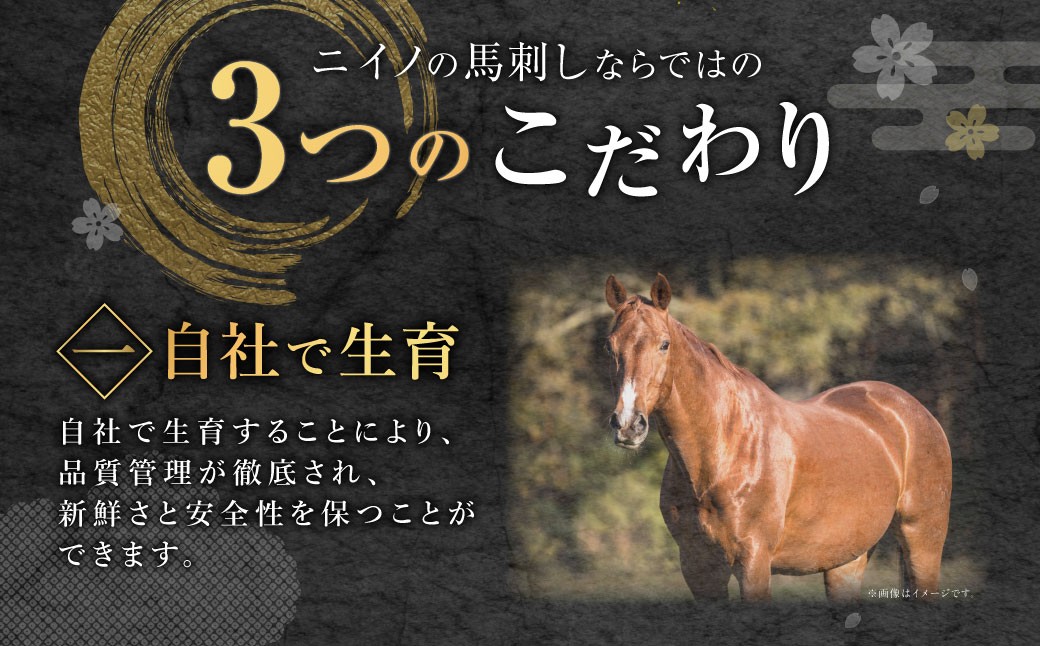 山形県 白鷹産 馬刺しブロック（生食用） 約4～5人前 （約500g） 