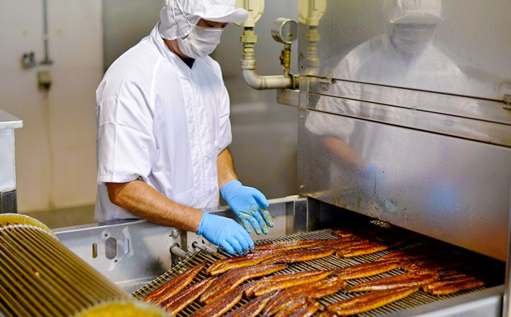 ＜うなぎ蒲焼 4～5尾 計500g以上＞