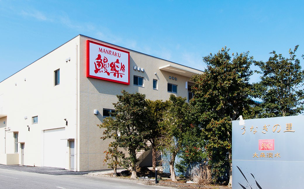 国産 うなぎ蒲焼 2尾 計320g以上