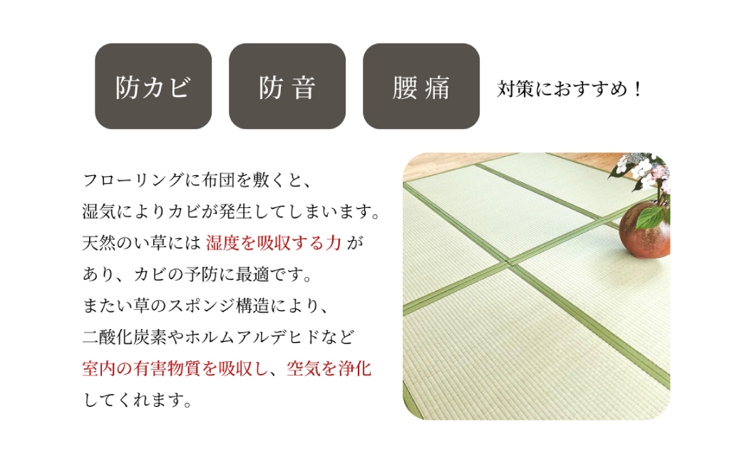 い草折りたたみマットレス（シングル）