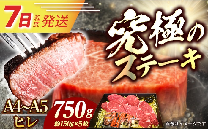 国産冷凍牛肉ヒレひれヒレ肉ヒレステーキ和牛ひれすてーき牛真空パックひれ希少部位ステーキすてーきA5A4長崎和牛すてーき