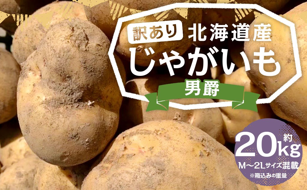 【訳あり】北海道産 じゃがいも 男爵 M～2Lサイズ混載 約20kg 1箱 山田農場