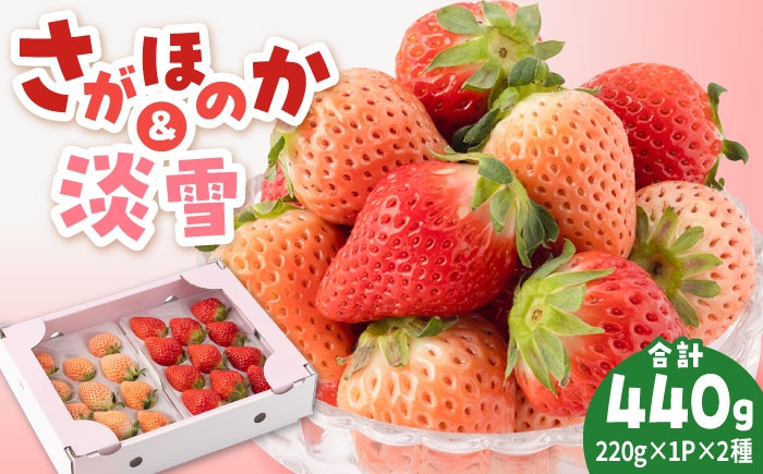 赤白いちご食べ比べ！