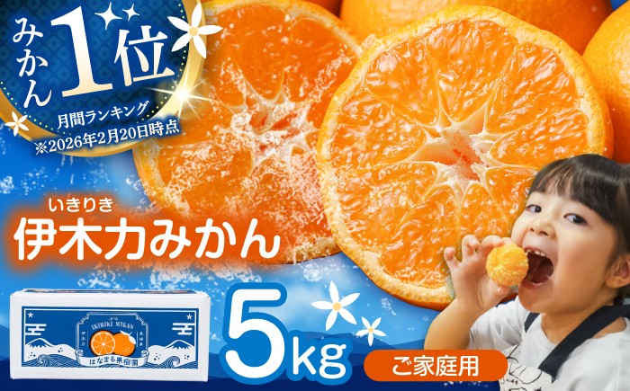 伊木力みかん 家庭用みかん 5kg みかん ミカン 蜜柑 フルーツ 果物