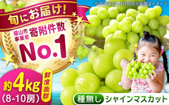 果物 フルーツ デザート 旬 期間限定 シャインマスカット マスカット 大粒