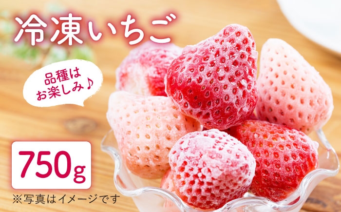 農家直送！新鮮なままフレッシュに冷凍！