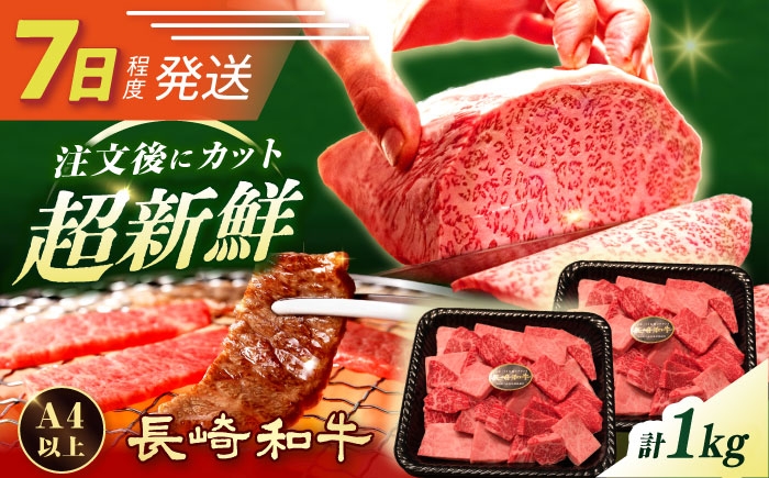 肉 牛肉 和牛 焼肉 焼き肉 長崎和牛 ながさきわぎゅう 長与町産 九州 新鮮 長崎県産 訳アリ ヒレ ランプ 上カルビ モモ