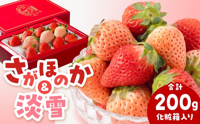 いちご 苺 イチゴ さがほのか あわゆき 淡雪  フルーツ 果物 ギフト プレゼント