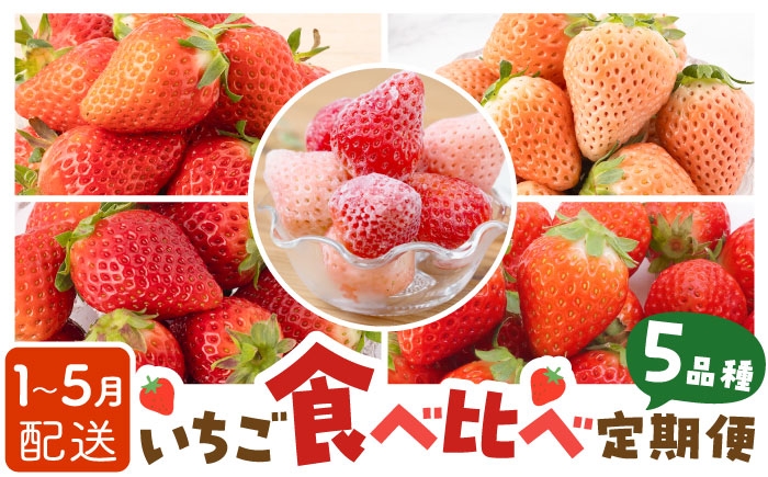 贅沢いちごの詰め合わせ！