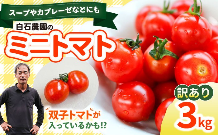 ミニ トマト 訳あり 3kg
