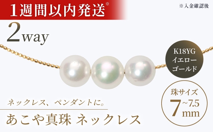 あこや真珠 スルーオメガネックレス K18YG / パール 真珠 アクセサリー ジュエリー ネックレス ギフト 贈り物