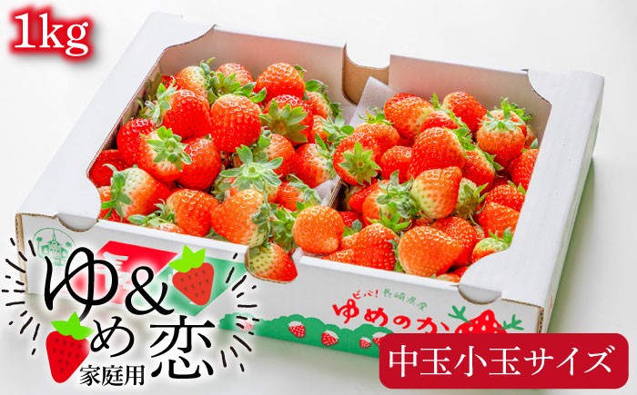 いちご イチゴ 苺 1kg 1キロ ゆめのか 恋みのり 2種 ミックス 詰め合わせ セット バラ バラ詰め 家庭用