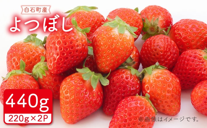 「甘味」「酸味」「風味」四つ星級