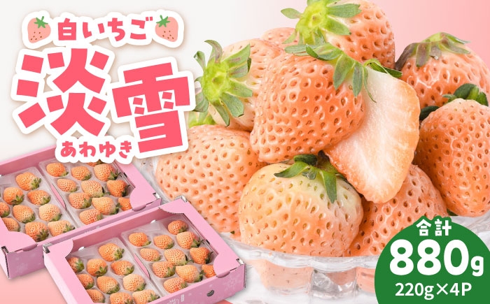 スーパーでは滅多に見かけない、希少な白いちご！