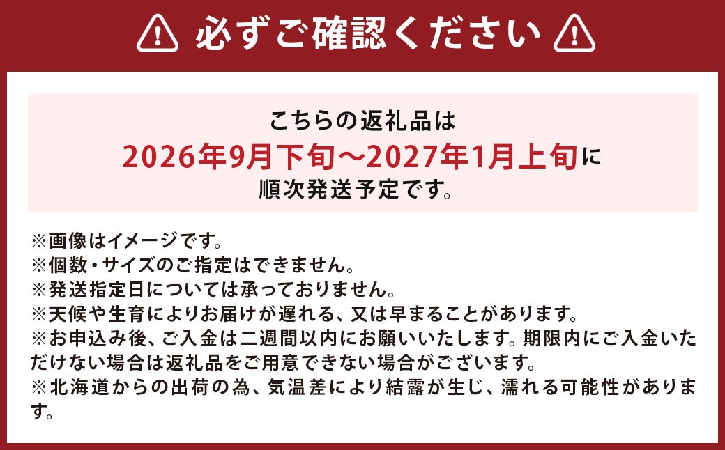【訳あり】北海道産じゃがいも （キタアカリ） 約3kg 山田農場