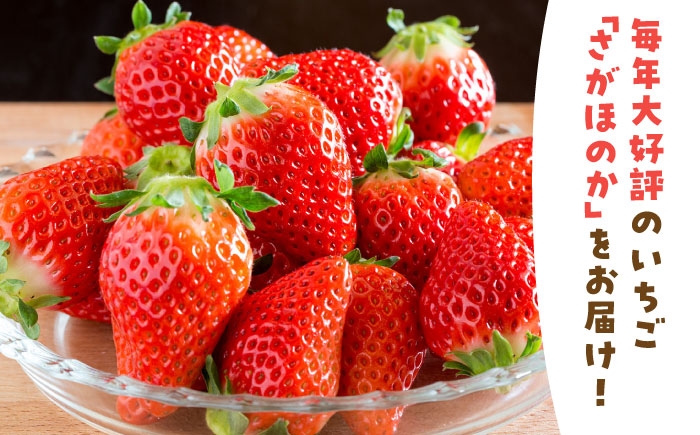 大好評のさがほのかを化粧箱で！