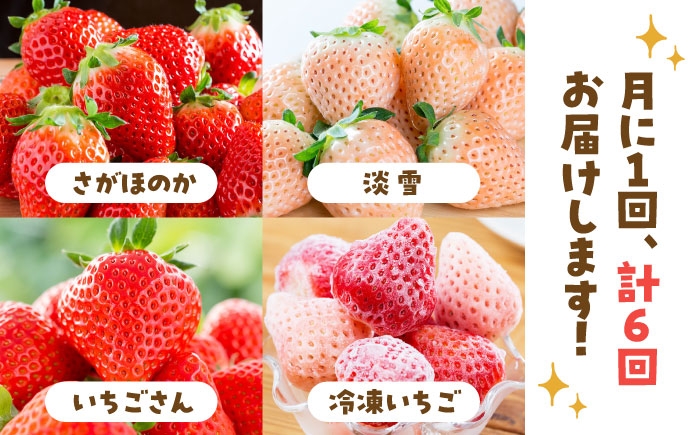 贅沢いちご！定期便！