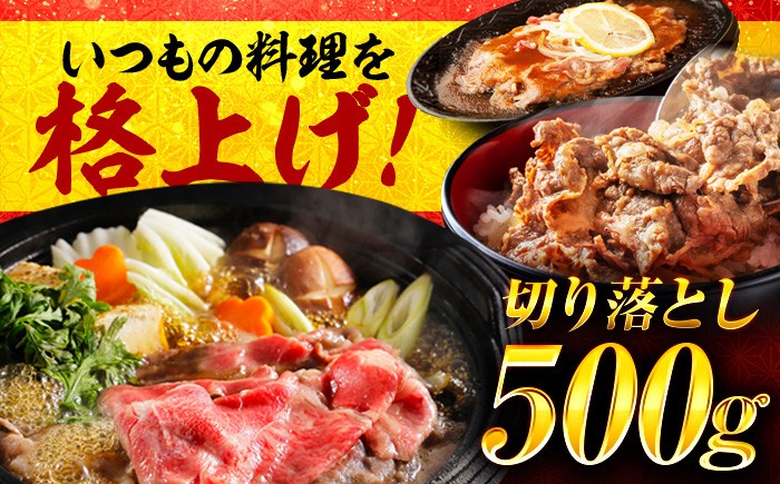 日本三大和牛 近江牛 切り落とし すき焼き A5 牛肉 和牛 国産牛 黒毛和牛 ブランド牛 近江牛 すきやき 500g