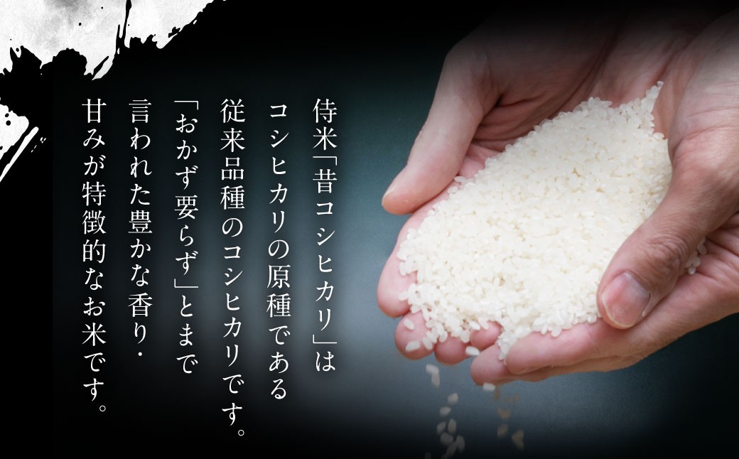 【定期便 3ヶ月】新潟県岩船産 コシヒカリ 精米 6kg（2kg×3個セット）