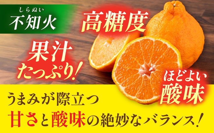 不知火 デコポン みかん 蜜柑 柑橘 しらぬい でこぽん かんきつ くだもの 旬 フルーツ 果物 九州 特産品 ギフト 贈答