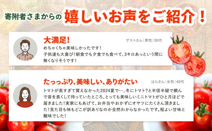 ミニ トマト 訳あり 3kg