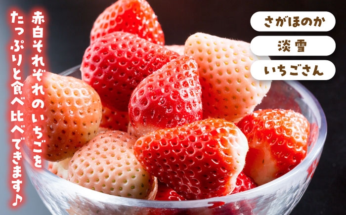 贅沢いちご！定期便！