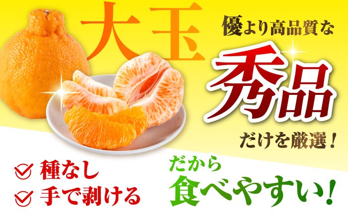 不知火 デコポン みかん 蜜柑 柑橘 しらぬい でこぽん かんきつ くだもの 旬 フルーツ 果物 九州 特産品 ギフト 贈答