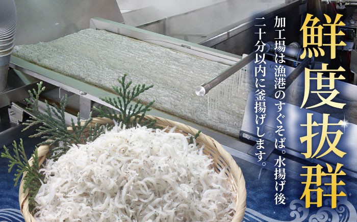 釜揚げ龍馬しらす 約250g×2パック【株式会社　七和】 [ATAX011]