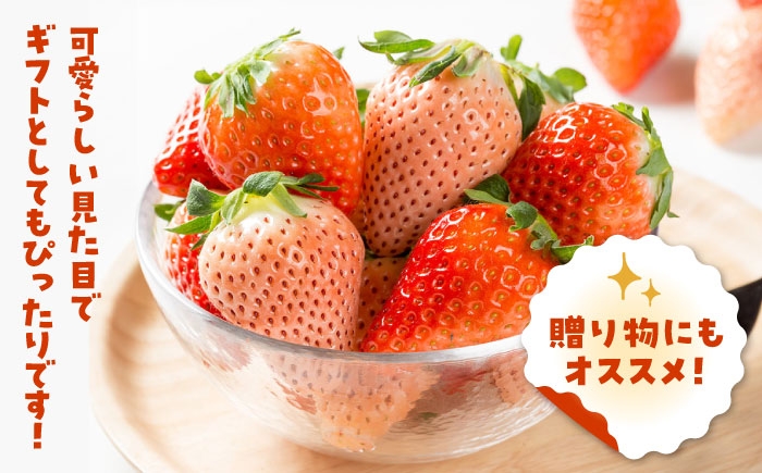 いちご3品種を食べ比べ！