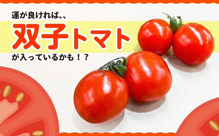 ミニ トマト 訳あり 3kg