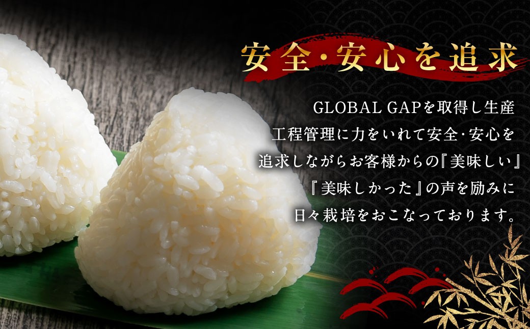 【定期便 6ヶ月】新潟県岩船産 コシヒカリ 精米 6kg（2kg×3個セット）