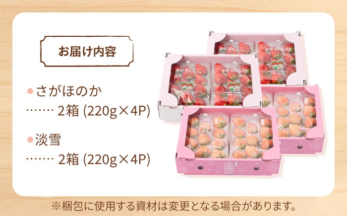 いちご 苺 さがほのか 果物 フルーツ 佐賀県 白石町 淡雪 紅白 食べ比べ