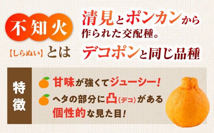 不知火 デコポン みかん 蜜柑 柑橘 しらぬい でこぽん かんきつ くだもの 旬 フルーツ 果物 九州 特産品 ギフト 贈答