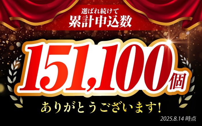 【全3回定期便】老舗の佐賀牛ハンバーグ 佐賀牛 ハンバーグ 牛肉 冷凍 はんばーぐ お惣菜 おかず 小分け 個包装 