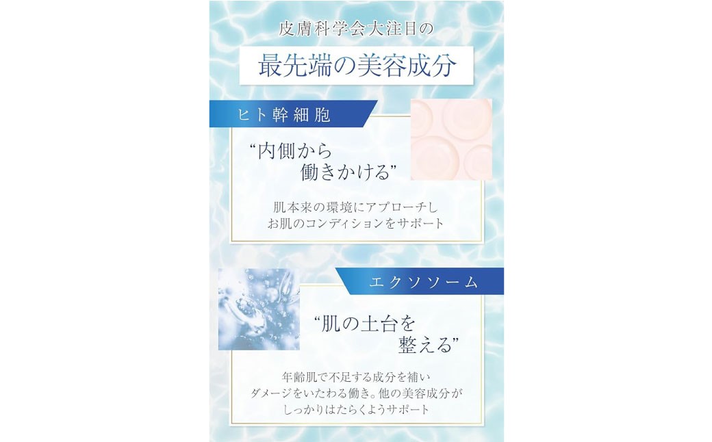 ERXRスキンローション