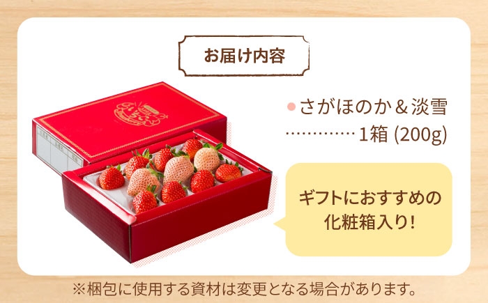 いちご 苺 イチゴ さがほのか あわゆき 淡雪  フルーツ 果物 ギフト プレゼント