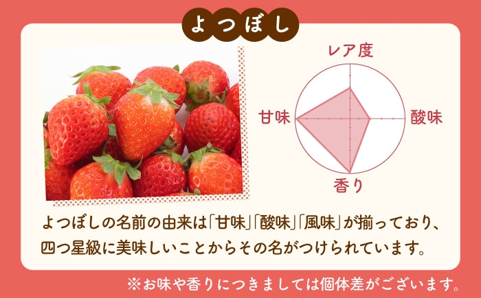 よく見る赤いちごと希少な白いちごを両方楽しめる♪ 