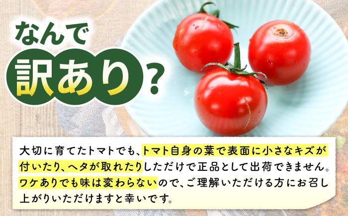 ミニ トマト 訳あり 3kg