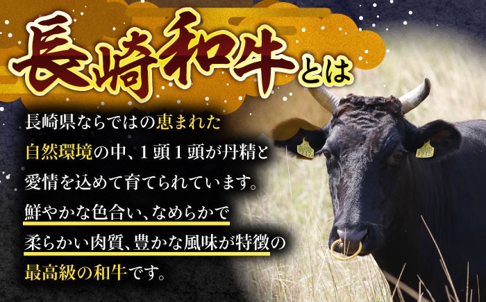 長崎和牛 hire ヒレ ステーキ