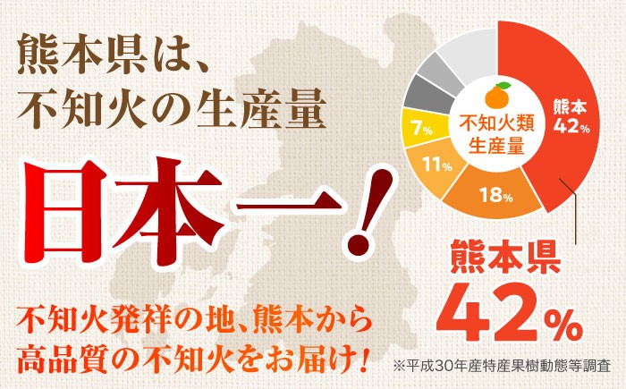 不知火 デコポン みかん 蜜柑 柑橘 しらぬい でこぽん かんきつ くだもの 旬 フルーツ 果物 九州 特産品 ギフト 贈答