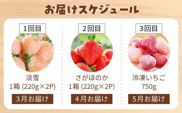 赤いちごと白いちごを食べ比べ！