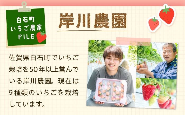 「甘味」「酸味」「風味」四つ星級